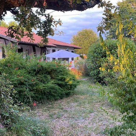 Cool Landes Villa Sainte-Eulalie-en-Born Exterior photo